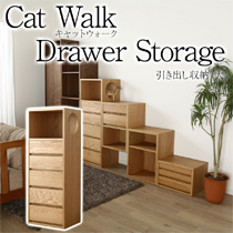 cat walk キャットウォークD 引き出し収納 大 引き出し 収納 桐箱 天然木
