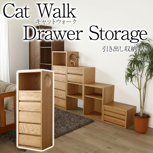 cat walk キャットウォークD 引き出し収納 大 引き出し 収納 桐箱 天然木